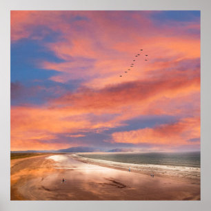 Dingle Pensula Beach Poster