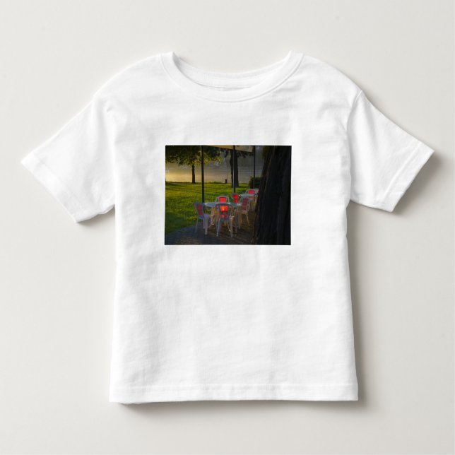 Dining table and chairs by the Danube River, Toddler T-Shirt (Front)