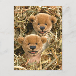 Dinky Bears Farmer Kids Postcard
