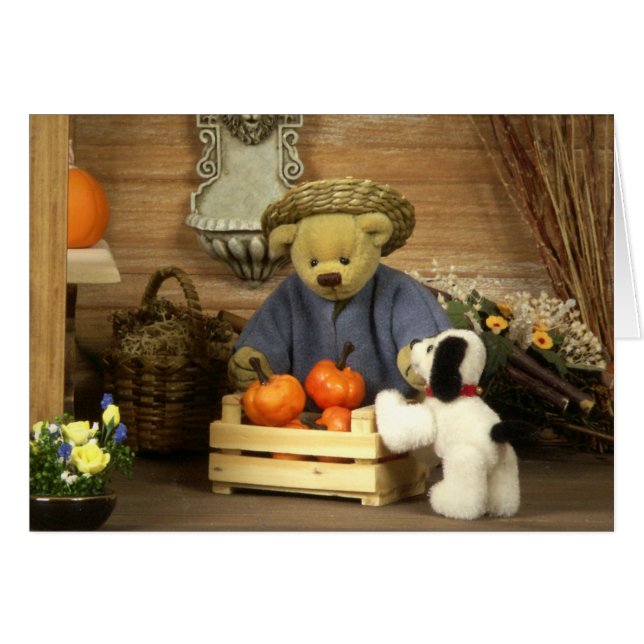 Dinky Bears Little Gardener (Front Horizontal)