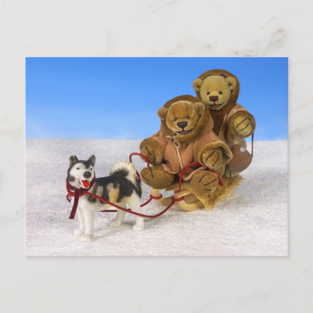 Dinky Bears on Dog Sled Postcard (Front)