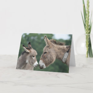 Dinky donkey card