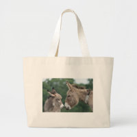 Dinky donkey