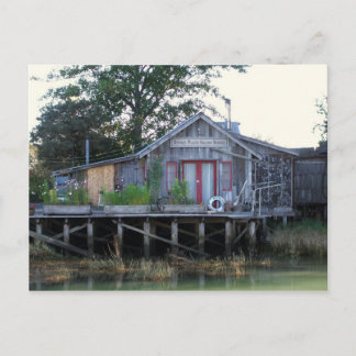 Dinner Plate Island School Postcard