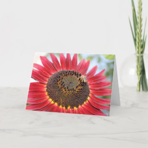 Dinner Time Holiday Card