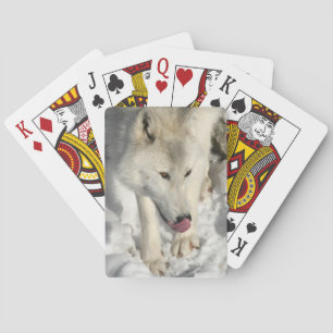 Dinner Time Playing Cards