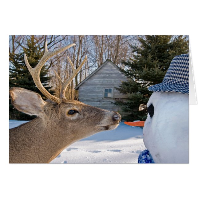 Dinnertime (Front Horizontal)