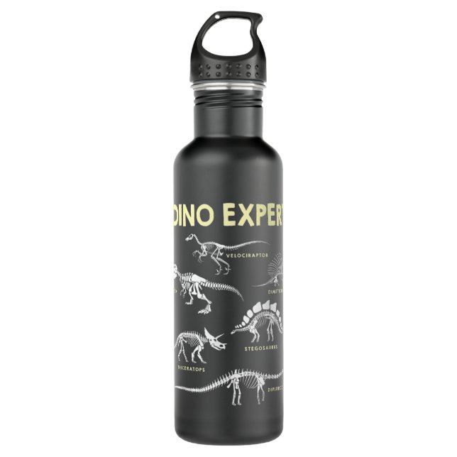 Dino Expert Future Paleontologist Dinosaur Fossil  710 Ml Water Bottle (Front)