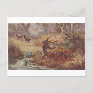 Dino hunt - announcement postcard