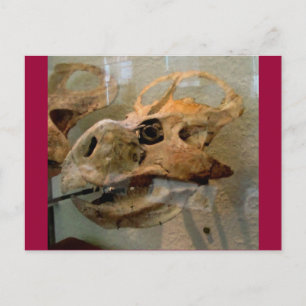 Dino Skull Oil Painting Postcard