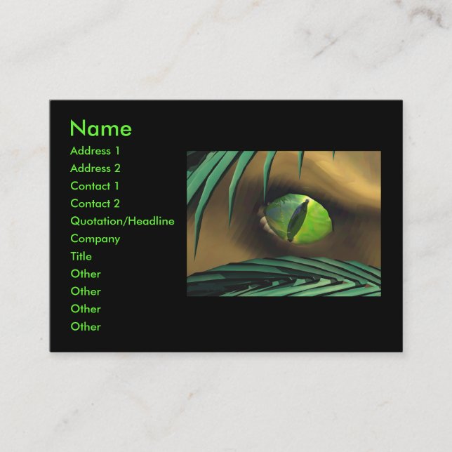 Dino Spy Business Card (Front)