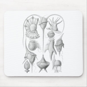 Dinoflagellates Mouse Pad