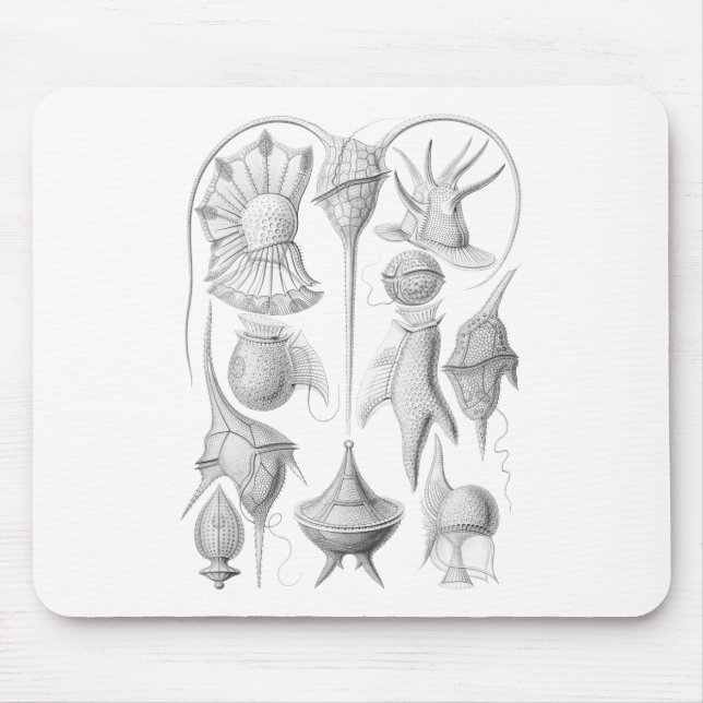 Dinoflagellates Mouse Pad (Front)