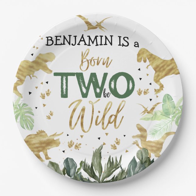 Dinosaur 2nd Birthday Party Paper Plate (Front)