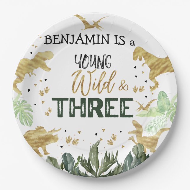 Dinosaur 3rd Birthday boy Party Paper Plate (Front)