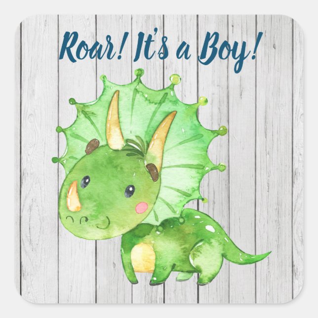 Dinosaur Baby Shower Stickers (Front)