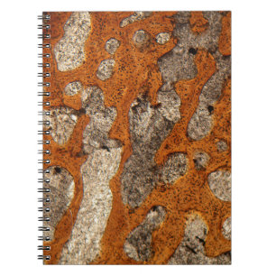 Dinosaur bone under the microscope notebook