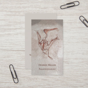 Dinosaur Bones Paleontologist Prehistoric Design  Business Card