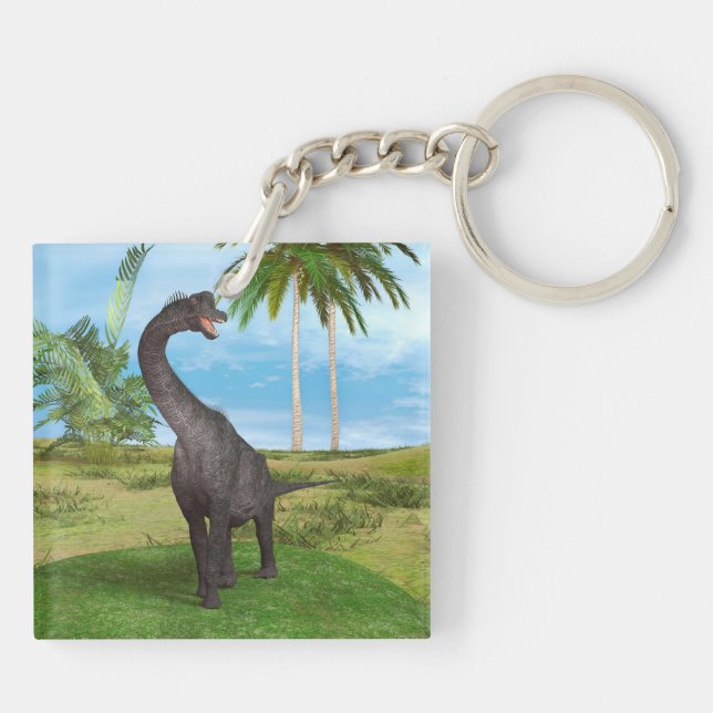 Dinosaur Brachiosaurus Key Ring (Back)