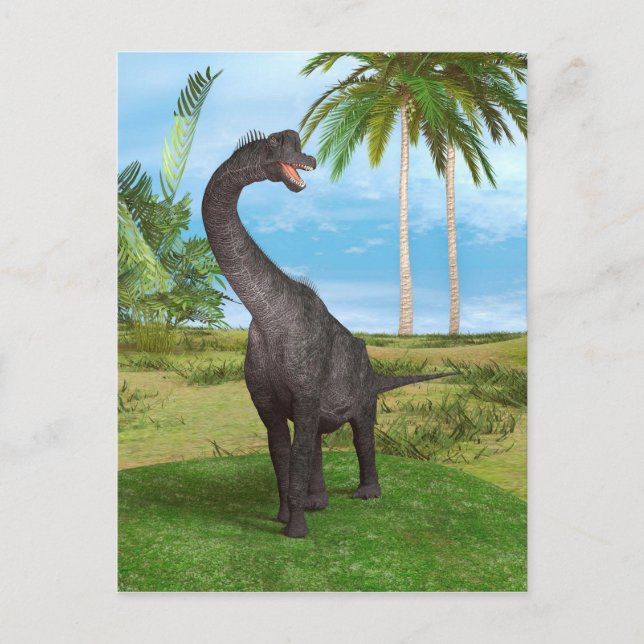 Dinosaur Brachiosaurus Postcard (Front)