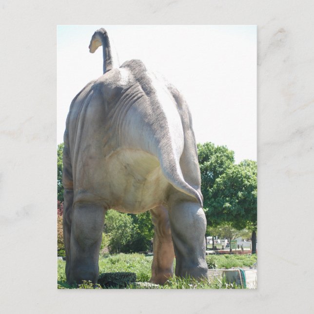 Dinosaur Brontosaurus Postcard (Front)