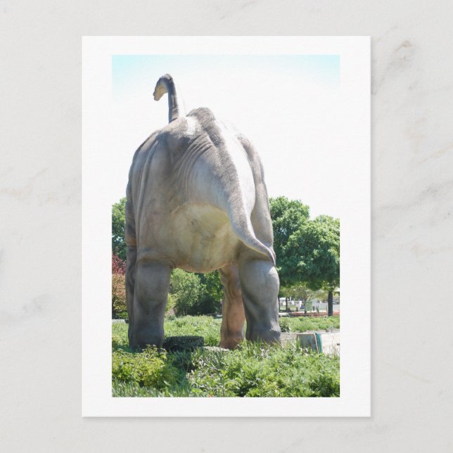 Dinosaur Brontosaurus Postcard (Front)