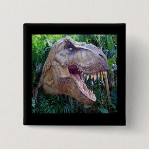 Dinosaur buttons