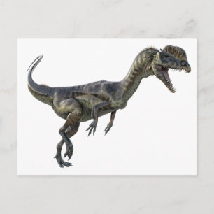 Dinosaur Dilophosaurus Postcard