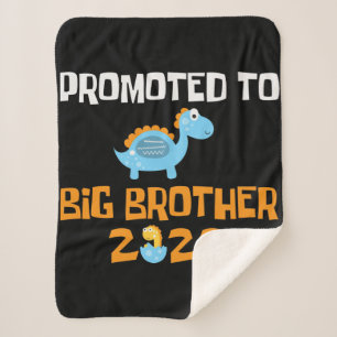 Dinosaur Egg Hatching Promoted To Big Brother Sherpa Blanket