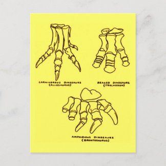 Dinosaur Foot Bones Postcard