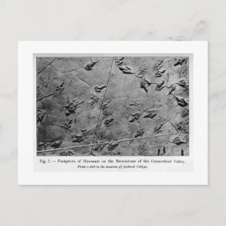 Dinosaur footprints art postcard