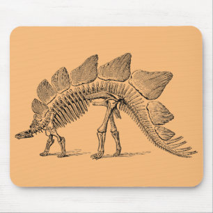 dinosaur-fossil-paleontology mouse pad