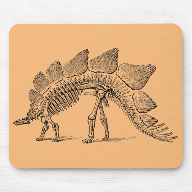 dinosaur-fossil-paleontology mouse pad (Front)