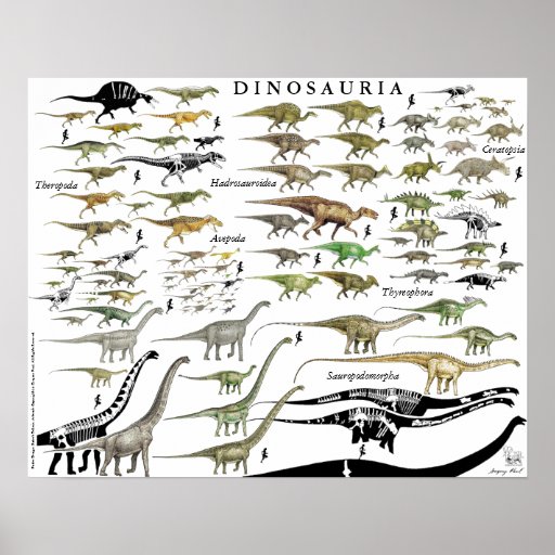 Dinosaur Groups Scale Poster Chart Gregory Paul #1 | Zazzle