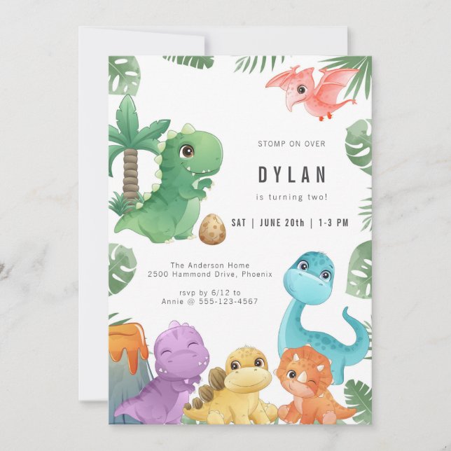 Dinosaur Kids Birthday Party Invitation (Front)