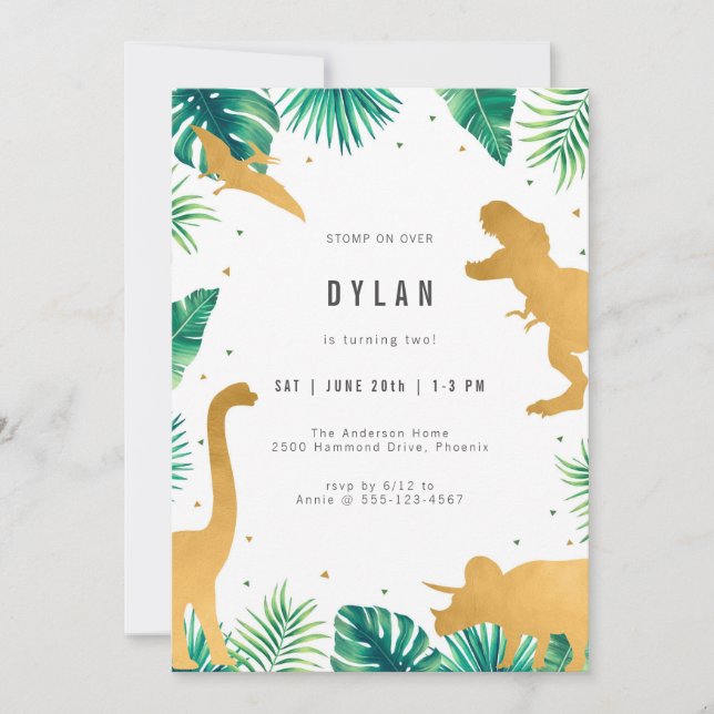 Dinosaur Kids Birthday Party Invitation (Front)