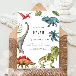 Dinosaur Kids Birthday Party Invitation