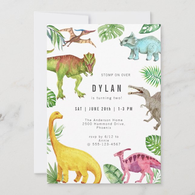 Dinosaur Kids Birthday Party Invitation (Front)