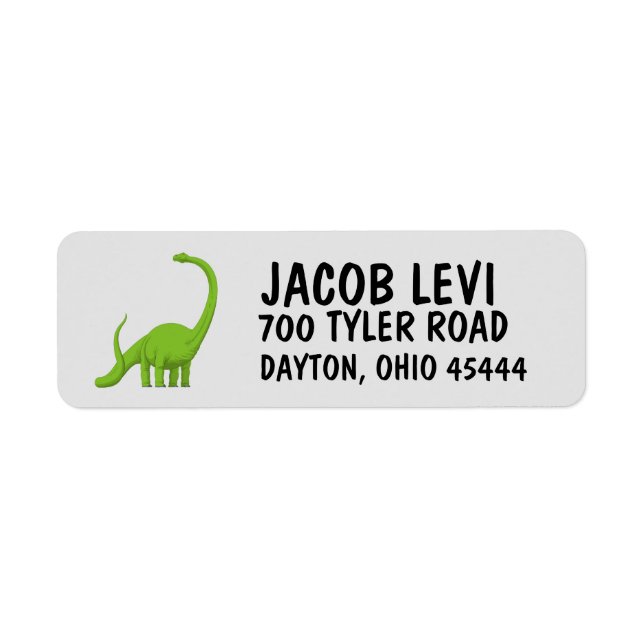 DINOSAUR KIDS BOYS Return Address Label (Front)