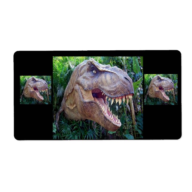 Dinosaur labels for kids (Front)