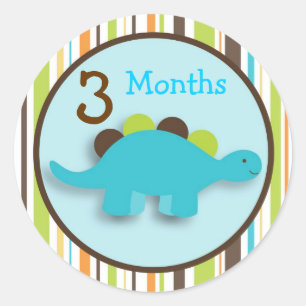 Dinosaur Lil DIno Boy Monthly Milestone Stickers