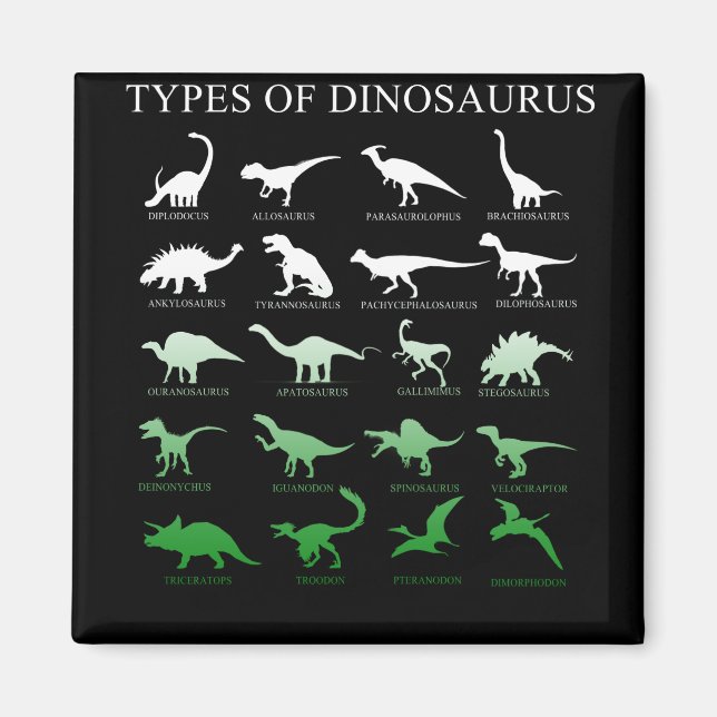 dinosaur magnet (Front)