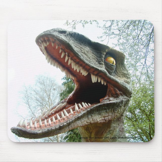 Dinosaur Mousemat (Front)