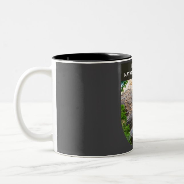 Dinosaur National Monument  Two-Tone Coffee Mug (Left)