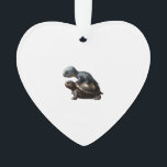 dinosaur on turtle Copy Ornament<br><div class="desc">dinosaur on turtle Copy</div>