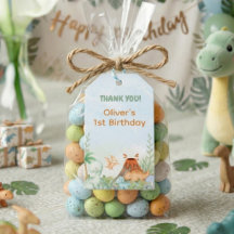 Dinosaur One-A-Saurus 1st Birthday Thank You