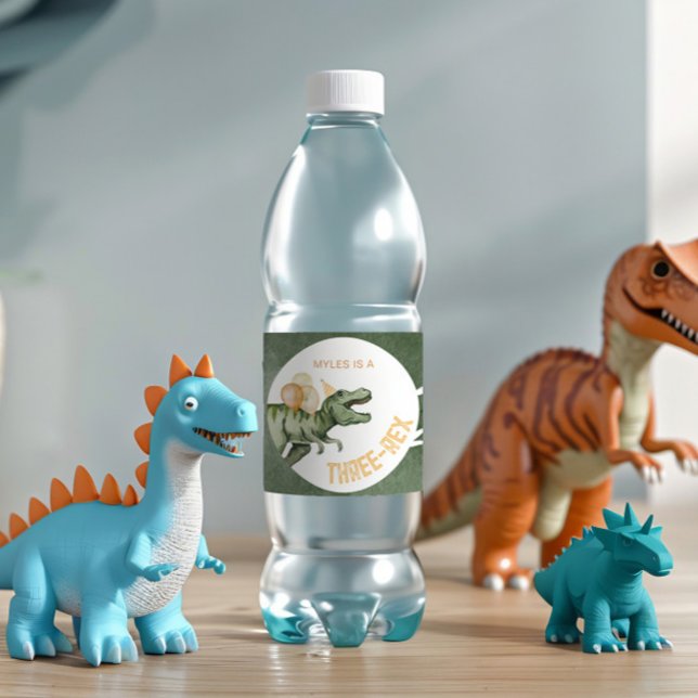 Dinosaur Party Water Bottle Labels (Creator Uploaded)