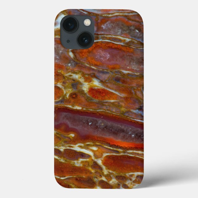Dinosaur Petrified Bone Case-Mate iPhone Case (Back)