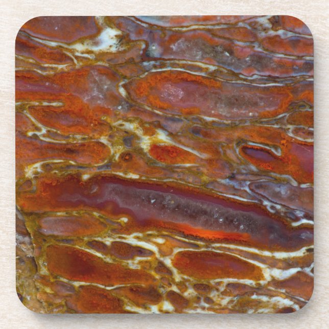 Dinosaur Petrified Bone Coaster (Front)