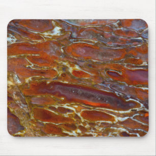 Dinosaur Petrified Bone Mouse Pad